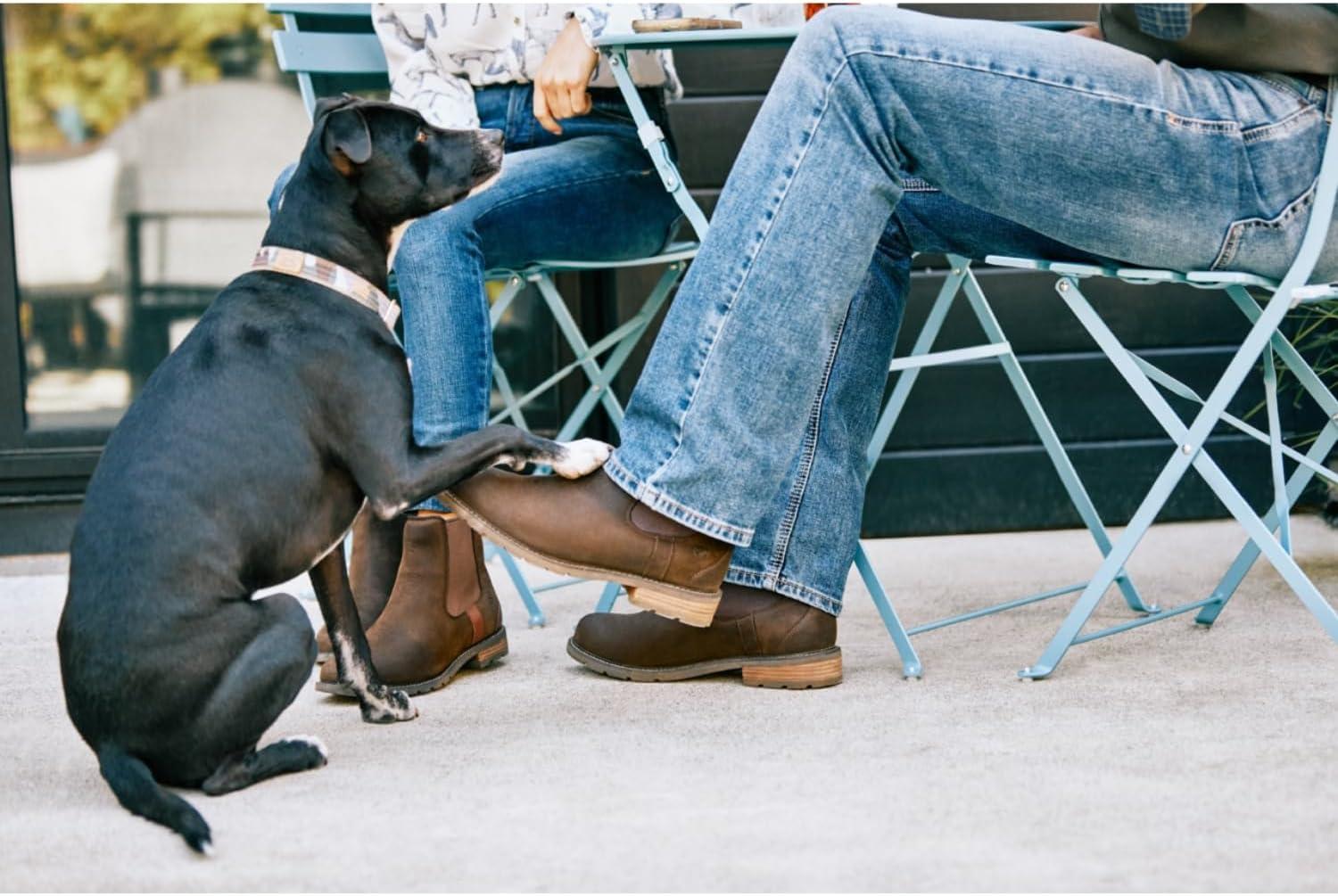 imageAriat Womens Wexford Waterproof BootBlack