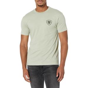 ARIAT Men’s Buckaroo T-Shirt, Buckhorn(Desert Sage Heather/Retro Hex Stripe)