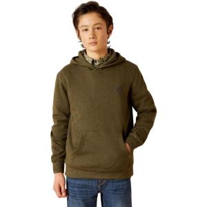 Ariat Boys’ Faded Hoodie(Brine Olive)
