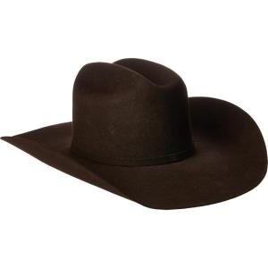 ARIAT Mens Wool Punchy Crown Cowboy Brim 2 Cord Band Western Hat(Chocolate)