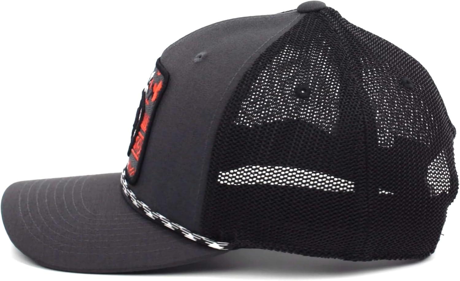 imageARIAT unisexadult mens SnapbackGrey