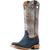 Navy Sueded Caiman Belly